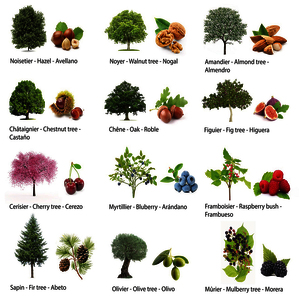 ROULEAU DE 360 GOMMETTES RONDES 33MM ARBRES