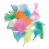 PLUMES DUVET TAILLES ET COLORIS ASSORTIS 14G