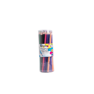 POT 48 CRAYONS DE COULEURS COLORIS ASSORTIS