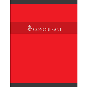 CAHIER 17X22 96P 5X5 70G PIQURE