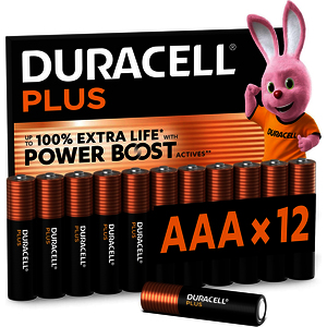 ALCALINE + 100% 12 PILES AAA