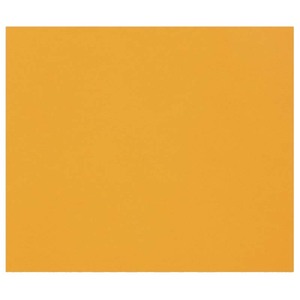 1F PAPIER DESSIN ORANGE VIF 50X65CM 160G