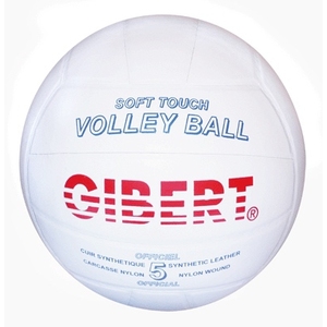 BALLON VOLLEY BALL CUIR T.5 Ø 21CM